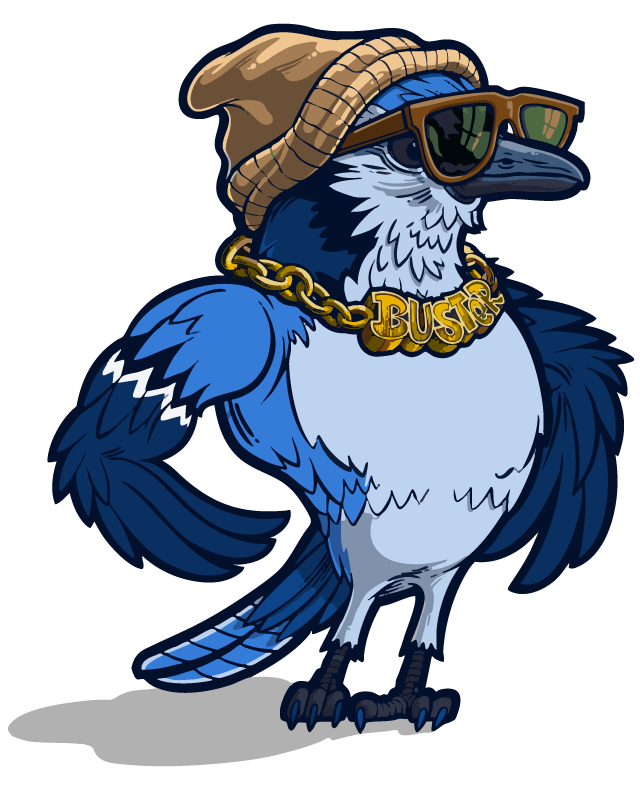 Buster BlueJay