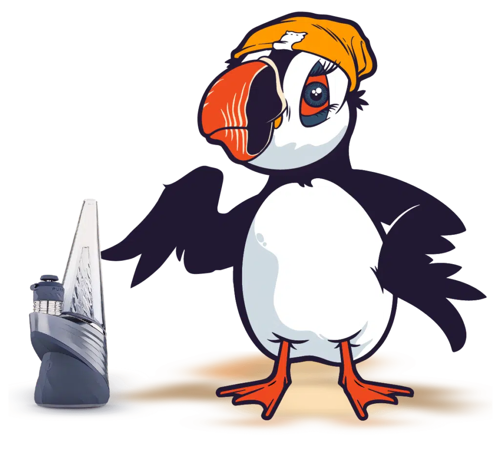 Piper Puffin Pointing Down