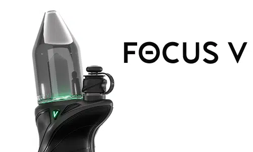 Focus V Carta Sport