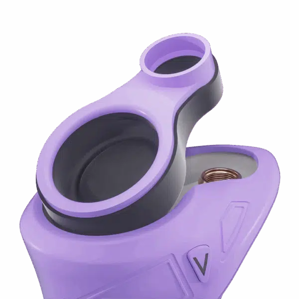 Focus V Carta Sport Connect - Lilac