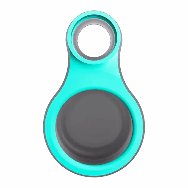 Focus V Carta Sport Connect - Teal