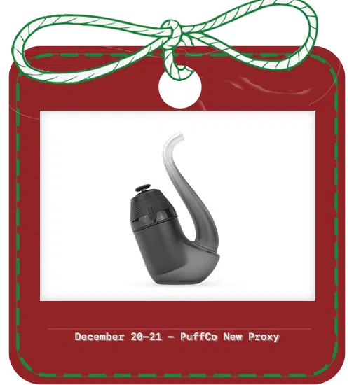 Your 12 Dabs - December 20-21