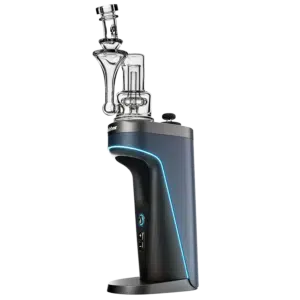 Calibear Switch 2 RBR Attachment Attached